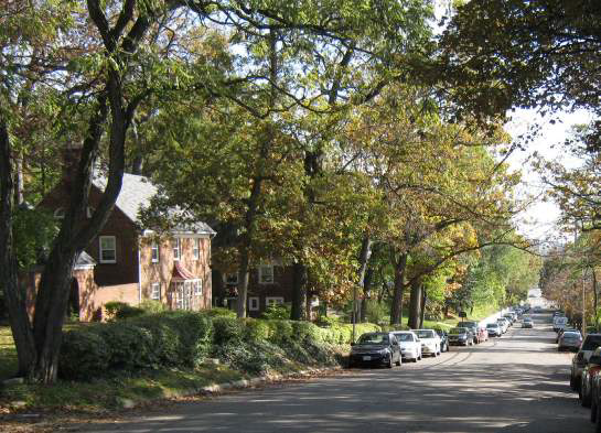 View of Lovell street looking east from Monroe. Grove houses line the left side and cars are parallel parked along both sides.